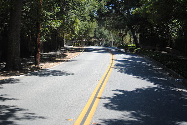 DSC 0207