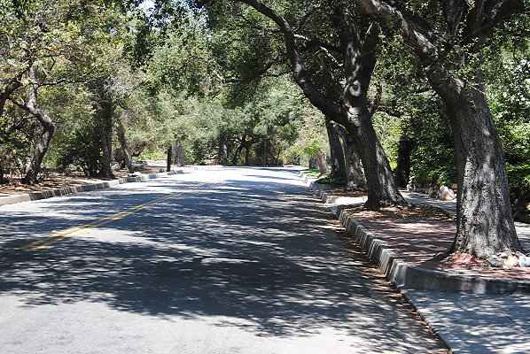 DSC 0220