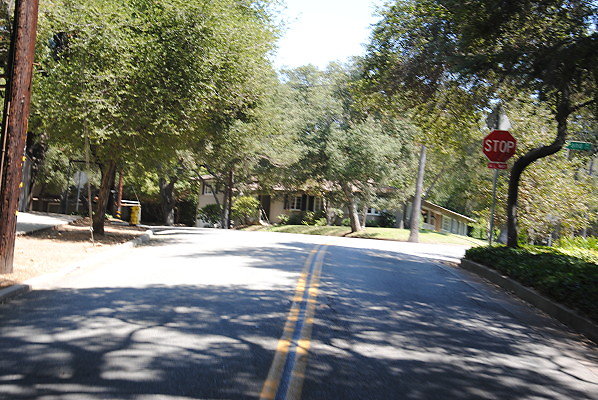DSC 0208