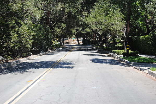 DSC 0236