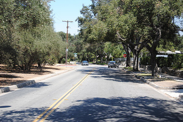 DSC 0225