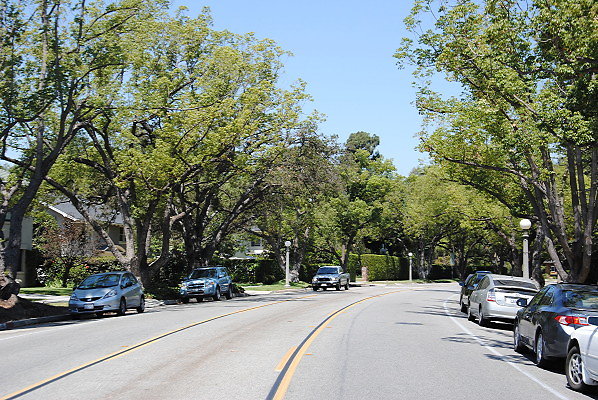 DSC 0014