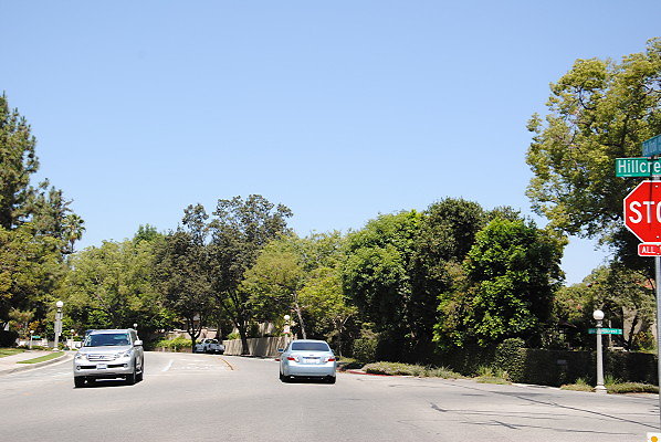 DSC 0010