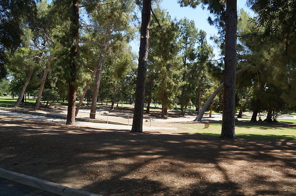 DSC09627