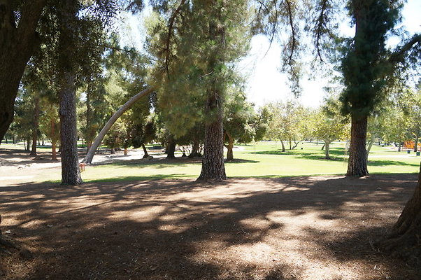 DSC09632