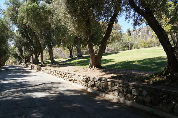 DSC09634
