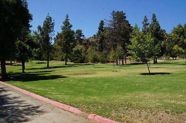 DSC09615