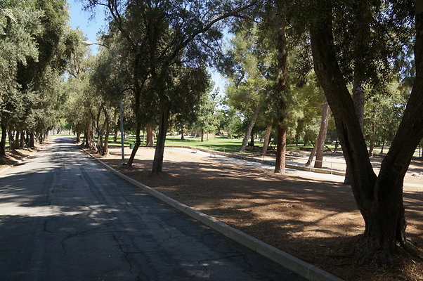 DSC09631