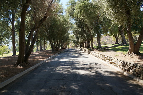 DSC09637