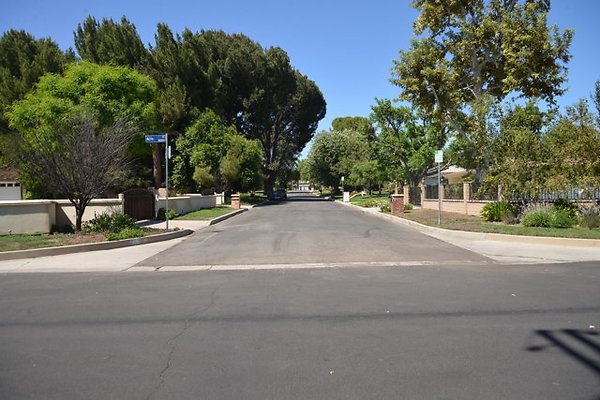DSC 7920