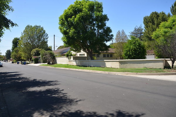 DSC 7919