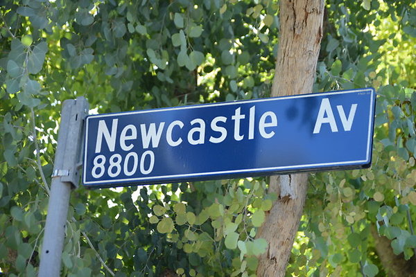 DSC 7932