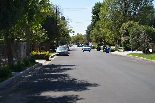 DSC 7923