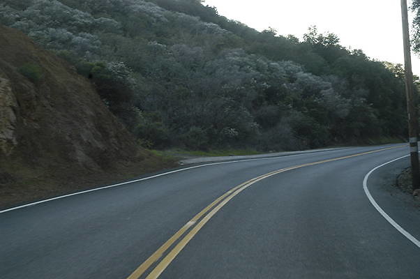 ENCINAL WEST 2 PCH.06