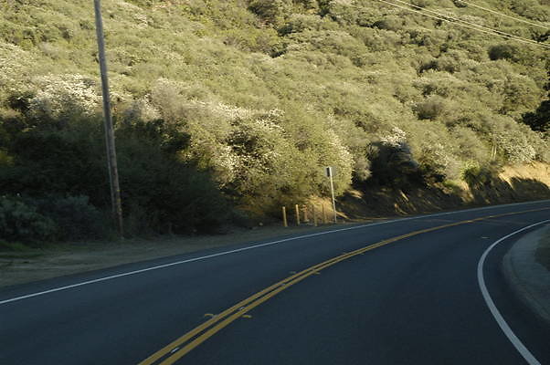 ENCINAL WEST 2 PCH.101