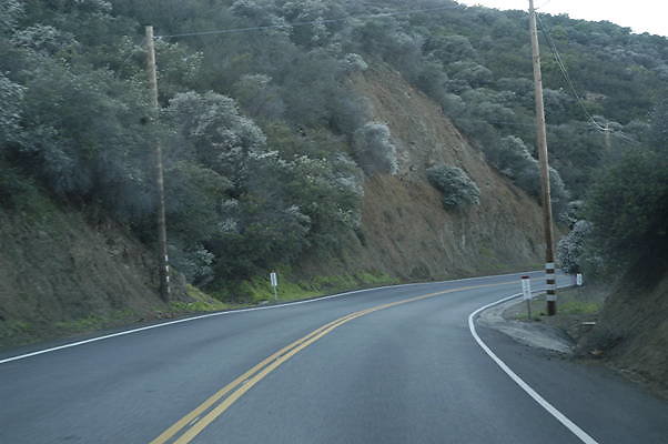 ENCINAL WEST 2 PCH.25