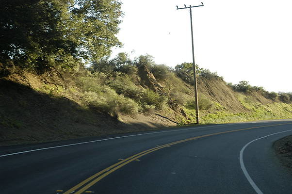 ENCINAL WEST 2 PCH.81