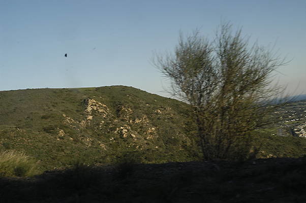 ENCINAL WEST 2 PCH.141