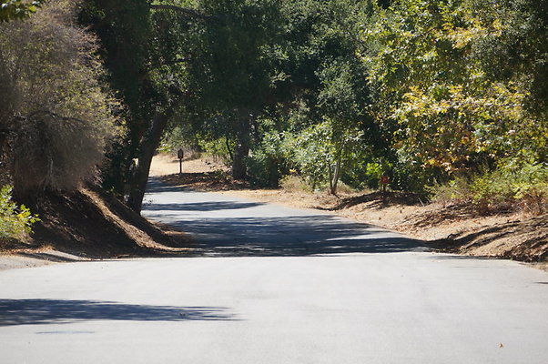 DSC09518