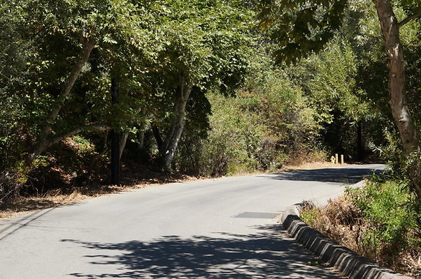 DSC09506