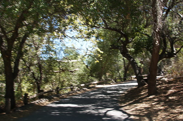 DSC09550