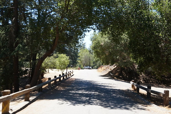 DSC09558