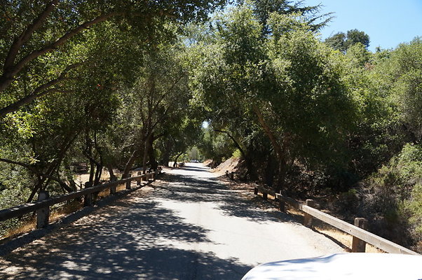 DSC09555
