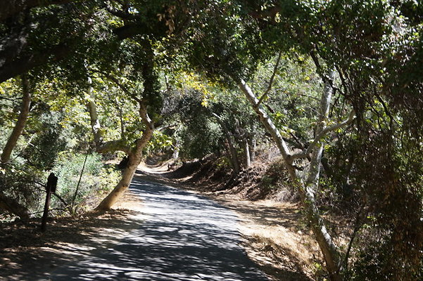 DSC09545