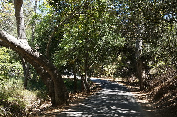 DSC09548