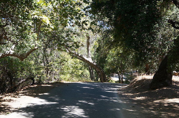 DSC09547