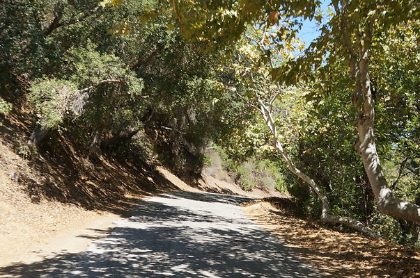 DSC09540