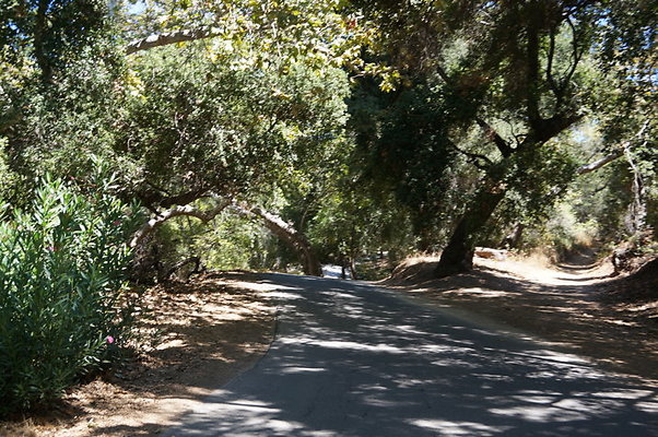 DSC09546