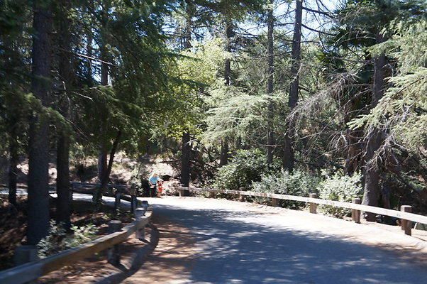 DSC09561