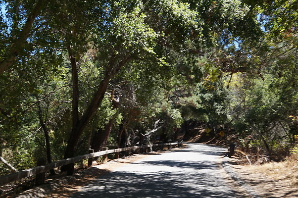 DSC09551