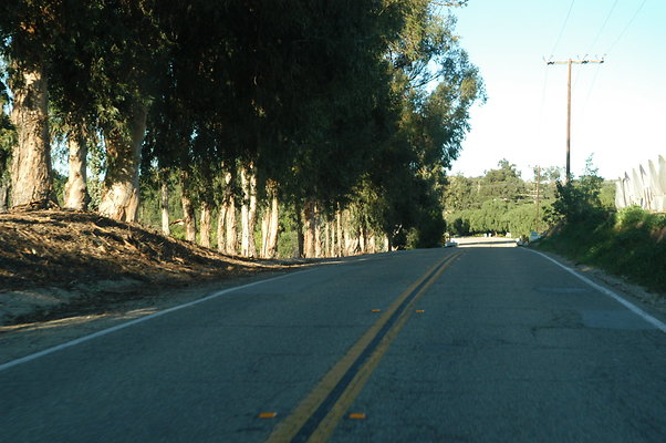 STOCKTON RD.38