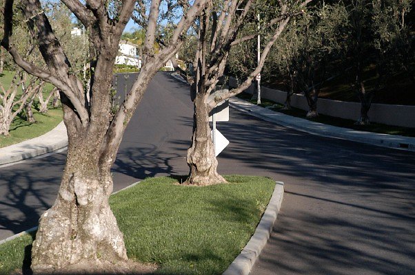 Valey Circle Dr North 101 062