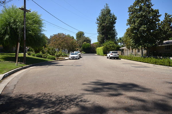 DSC 7784