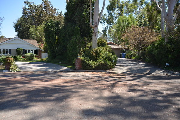 DSC 7794