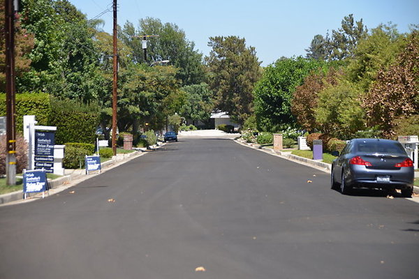 DSC 7775