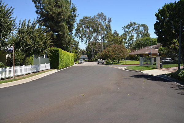 DSC 7776