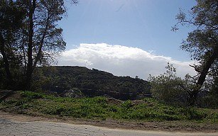 file137