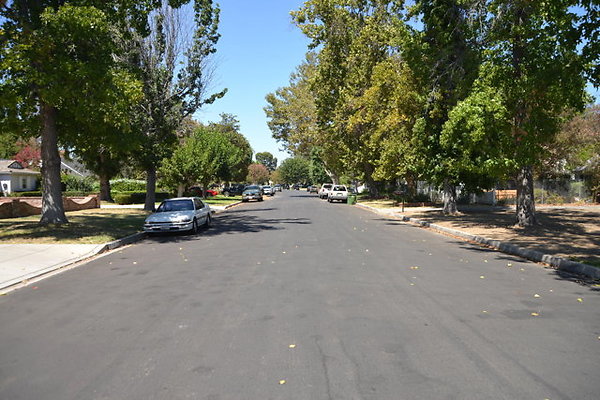 DSC 7877