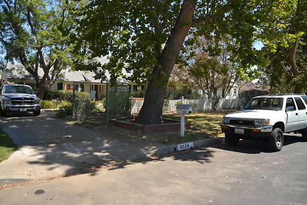 DSC 7867