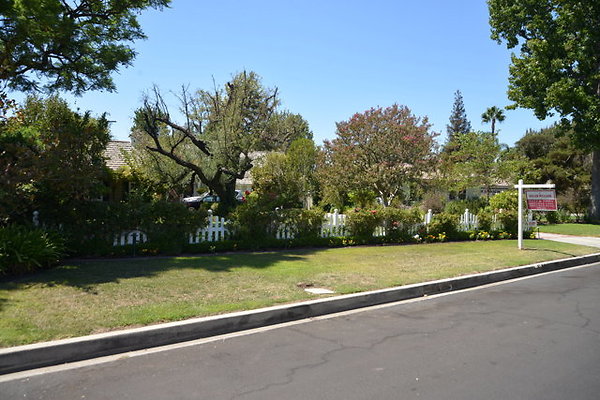 DSC 7858
