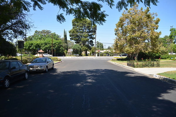 DSC 7847