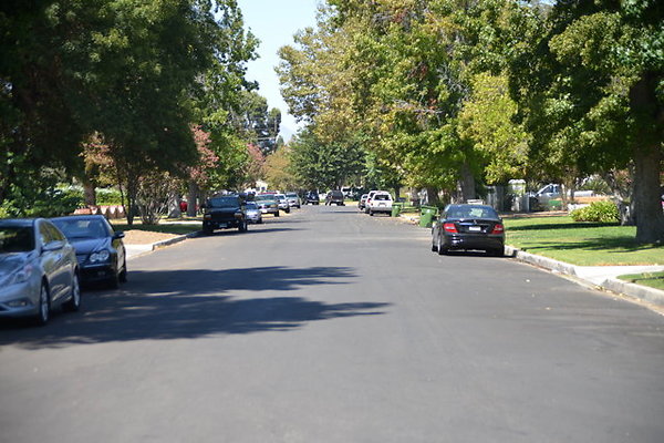 DSC 7884