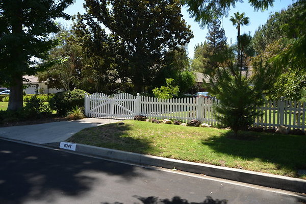 DSC 7845