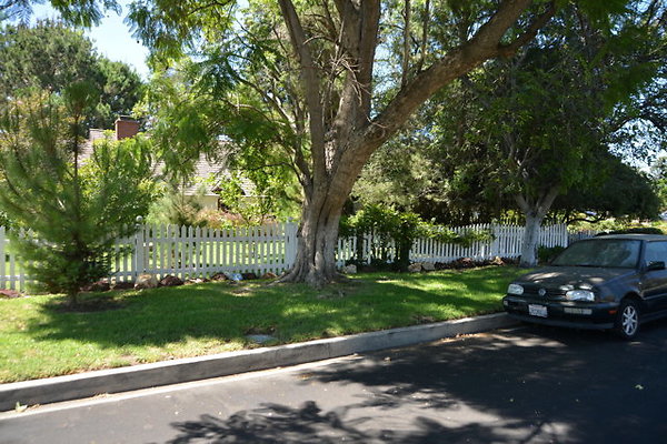 DSC 7846
