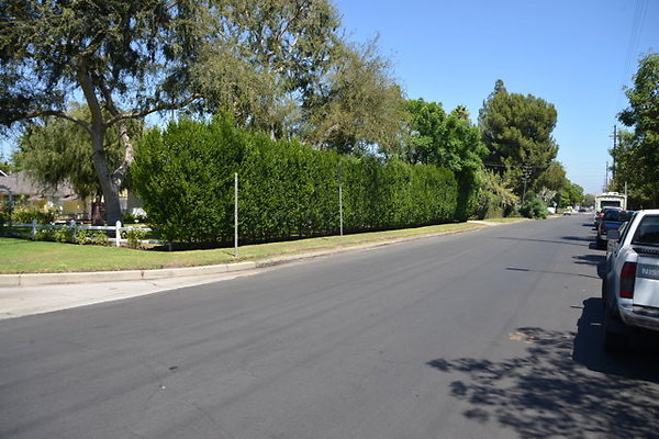 DSC 7881