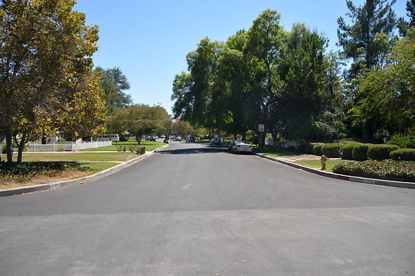 DSC 7838
